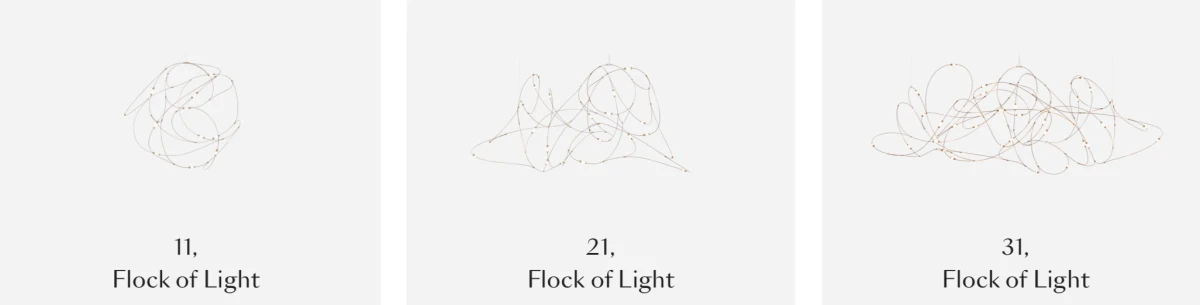 3-formes